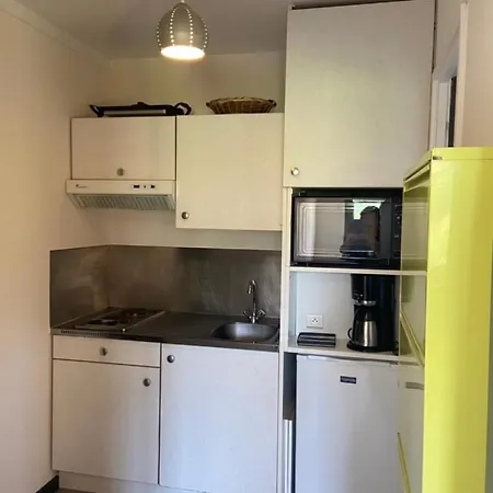 A Gerardmer, Les Dryades Appartement *