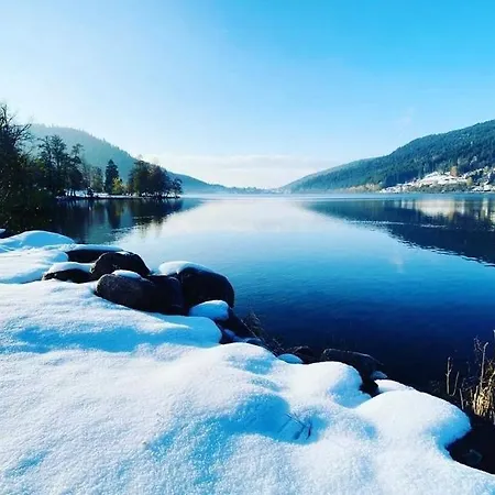 A Gerardmer, Les Dryades Appartement