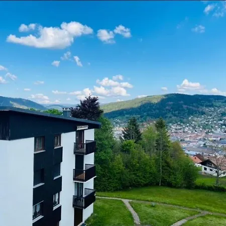 A Gerardmer, Les Dryades Appartement Gérardmer