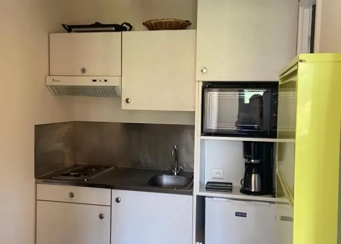 A Gerardmer, Les Dryades Appartement *