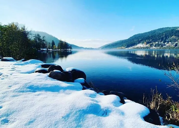 A Gerardmer, Les Dryades Appartement
